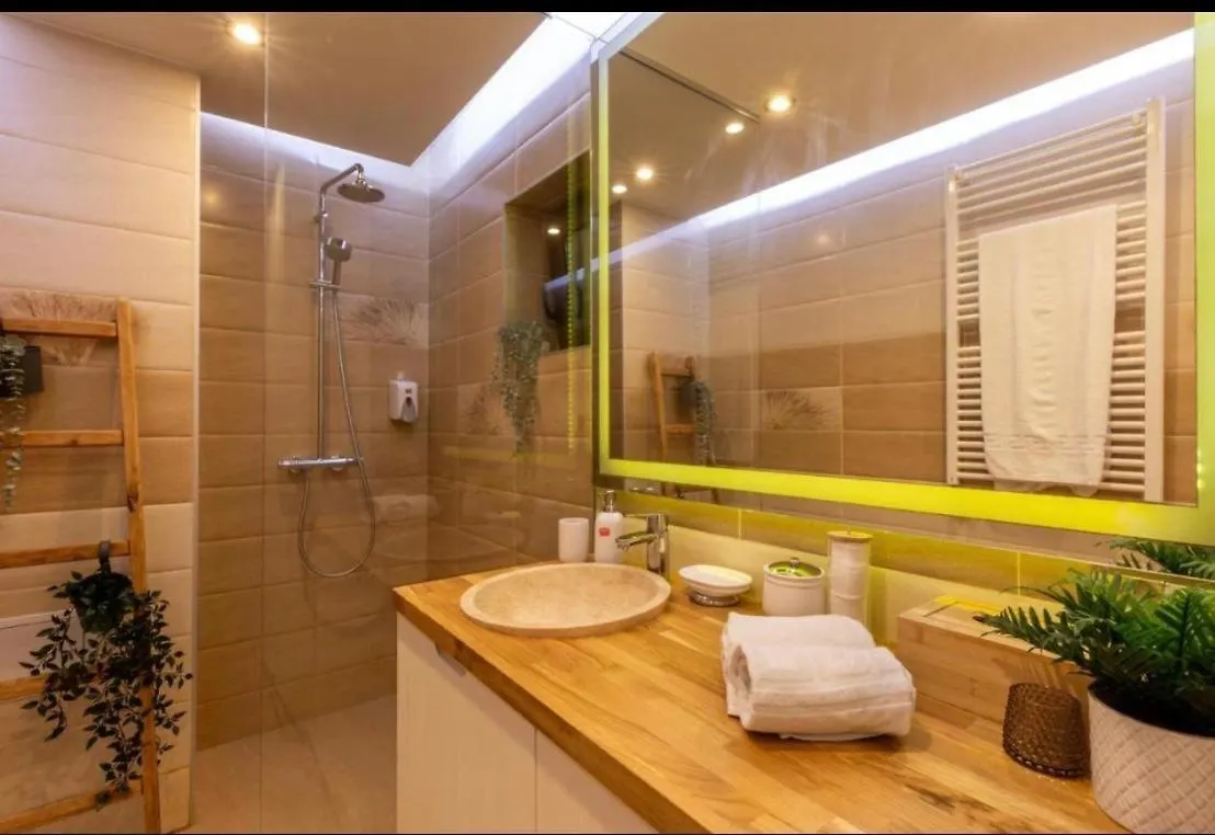 Downtown Oasis Unirii Apartment Bucharest Romania